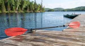 A standard recreational kayak paddle under $150 CAD resting on a dock in Canada.